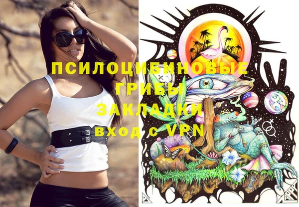 МДПВ Белокуриха