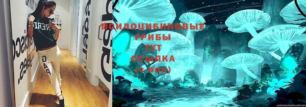 МДПВ Белокуриха
