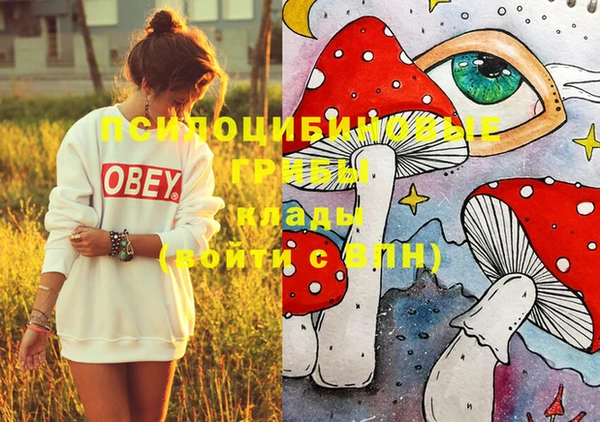 МДПВ Белокуриха